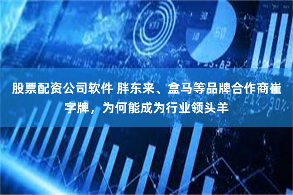 股票配资公司软件 胖东来、盒马等品牌合作商崔字牌，为何能成为行业领头羊