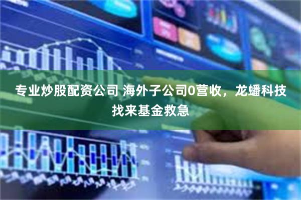 专业炒股配资公司 海外子公司0营收，龙蟠科技找来基金救急