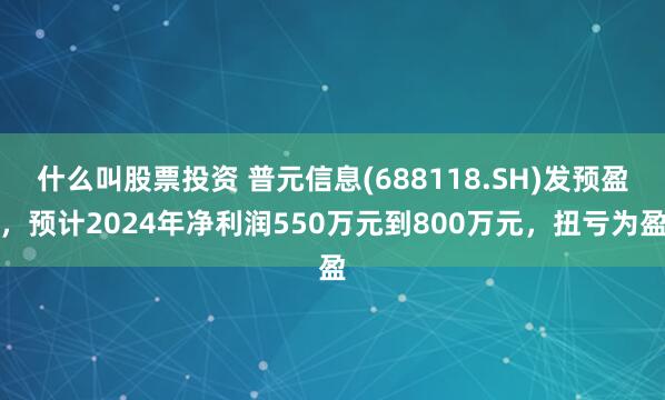 什么叫股票投资 普元信息(688118.SH)发预盈，预计2024年净利润550万元到800万元，扭亏为盈