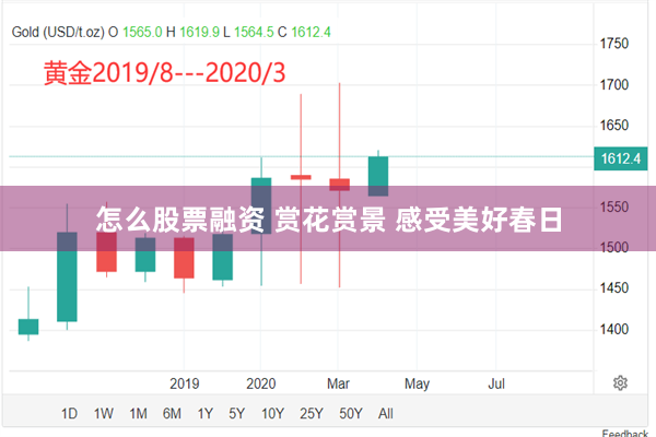 怎么股票融资 赏花赏景 感受美好春日