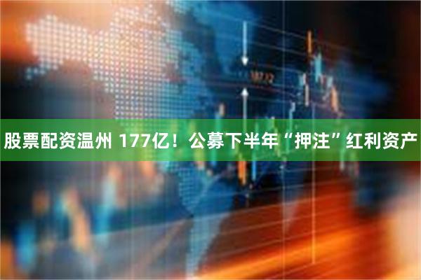 股票配资温州 177亿！公募下半年“押注”红利资产